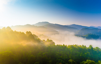 山