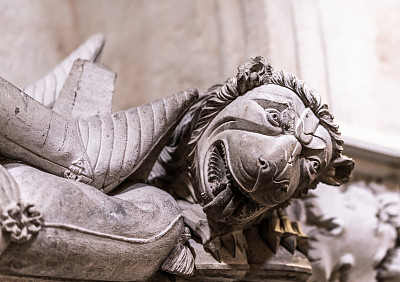 萨拉曼卡大教堂的狮子巴斯浮雕