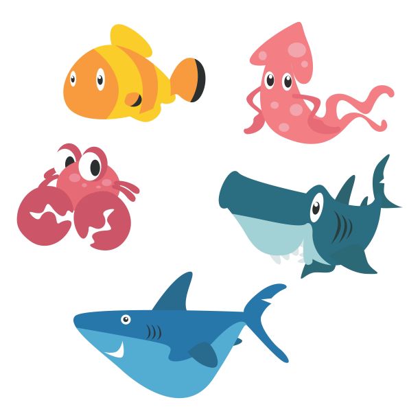 各种可爱的海洋动物小丑鱼，鱿鱼，螃蟹，双髻鲨和蓝鲨，卡通人物