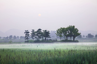 苍井空湿地的神秘