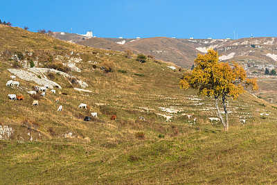 蒙特Grappa-Veneto-Treviso-Italy 100