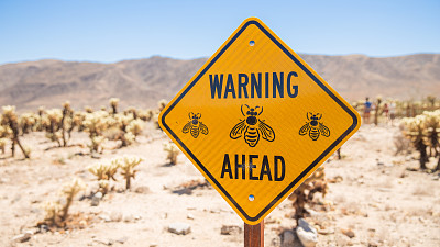 蜜蜂警告标志，约书亚树，棕榈泉，加州
