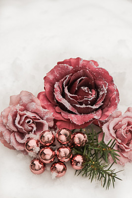 雪中的玫瑰和丝带