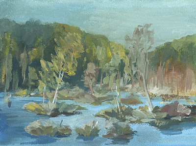 沼泽，树木都在水里，秋天的风景