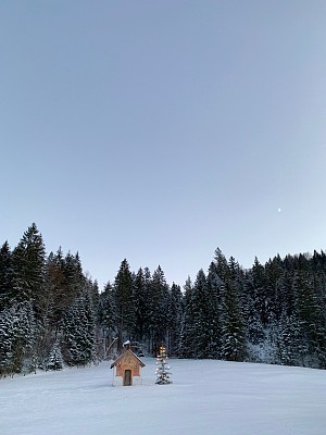 小教堂和圣诞树，白雪覆盖的景观和森林