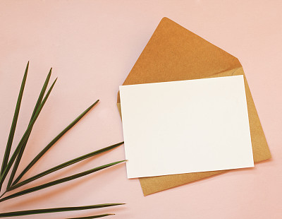 信封，白纸和粉红色背景上的棕榈叶。