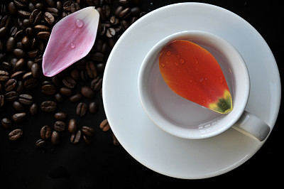 咖啡豆和带露珠的彩色郁金香花瓣