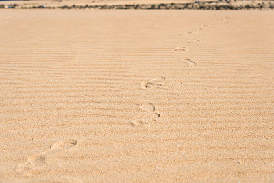 沙尘中的脚步声和波浪——沙漠中的沙丘