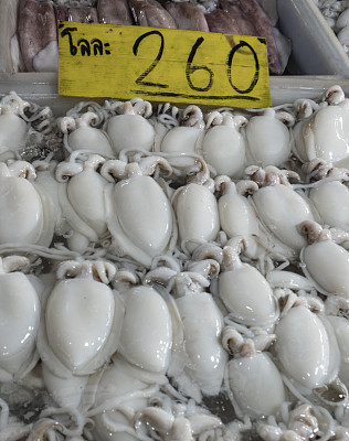 泰国昂西拉鱼市出售的新鲜海鲜、墨鱼(鱿鱼)。鱿鱼、墨鱼。