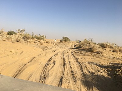 塔尔沙漠,印度