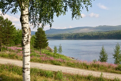瑞典北部皮特河上的夏日景色
