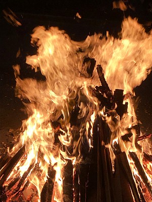 印度新德里旁遮普锡克教洛赫里节上篝火熊熊燃烧的景象