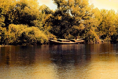 在风景如画的森林里，一条废弃的老船停在河岸上。日落时的美景。夏末秋初美丽的大自然。