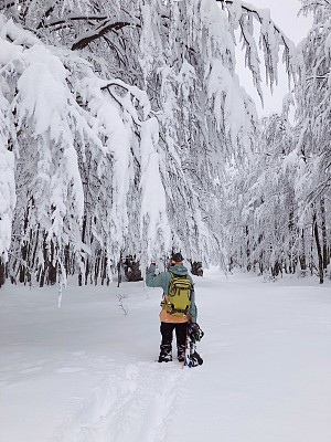 年轻夫妇用雪[暴风雪]戳树