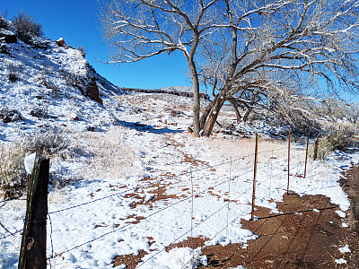 雪地牧场和杨木树南梅萨沿着格拉夫顿路在犹他州罗克维尔锡安国家公园附近犹他州