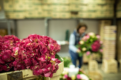 花店里一束五颜六色的花