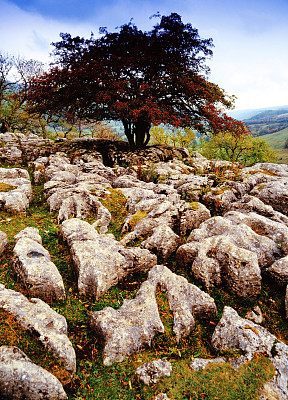 约克郡峡谷国家公园的石灰石路面，英格兰北部风景乡村-拍摄的电影