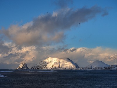 Gjesværstappan岛有鸟和云