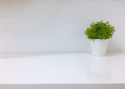 清新