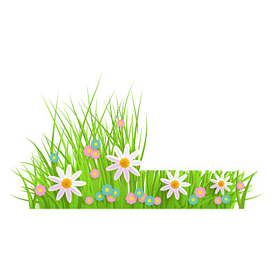 春天的花绿草和草坪边缘有洋甘菊和雏菊，修剪前后。