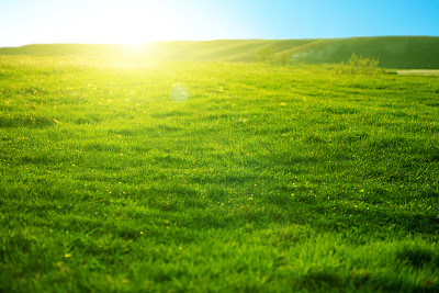 在一个温暖的阳光明媚的日子里，春天在日落时新鲜明亮的绿草。美丽的田野和夕阳。