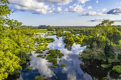 鸟瞰图的河流在一个白的空地在雨林，刚果