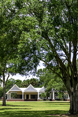 在佛罗里达州基西米美丽的湖滨公园里，许多亭子被美丽的老南方橡树环绕着，可供聚会和野餐