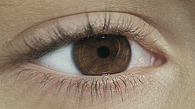 这是人类棕色眼睛的特写