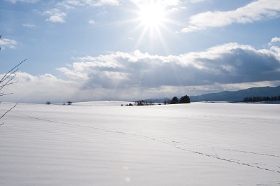 雪地背景图片大全 雪地背景设计素材 雪地背景模板下载 雪地背景图库 昵图网soso Nipic Com