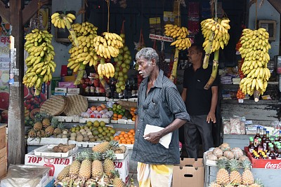 斯里兰卡加勒水果市场路