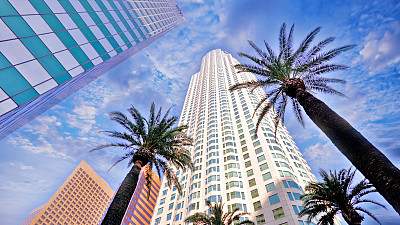 洛杉矶金融区和金融大厦的概念视图。棕榈树