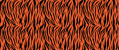 虎壁纸图片大全 虎壁纸设计素材 虎壁纸模板下载 虎壁纸图库 昵图网soso Nipic Com