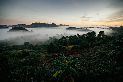 Vinales valley & las Terrazas(古巴)