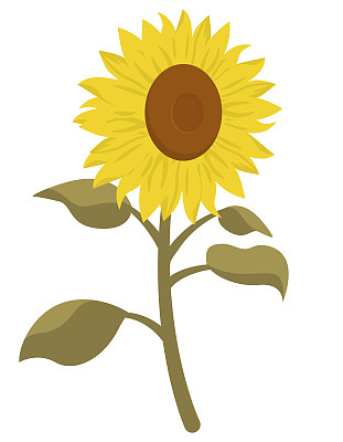 卡通向日葵花图片大全 卡通向日葵花设计素材 卡通向日葵花模板下载 卡通向日葵花图库 昵图网soso Nipic Com