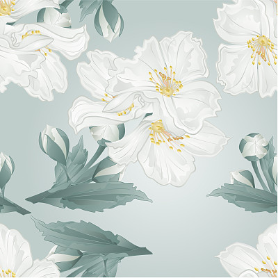 水彩花矢量图片大全 水彩花矢量设计素材 水彩花矢量模板下载 水彩花矢量图库 昵图网soso Nipic Com