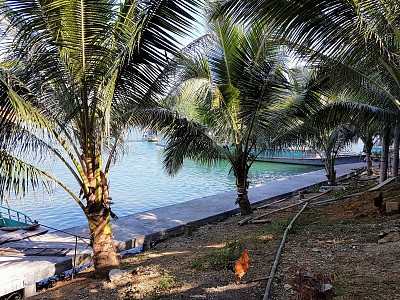 清晨时分，在和平湖小岛上的通奈旅游区。这是越南北部著名的旅游胜地