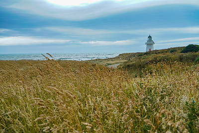 Waipapa Point灯塔，南岛，新西兰