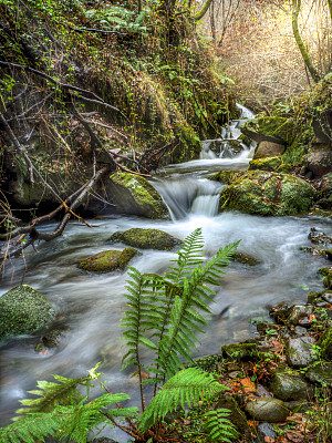 春天的幻想图片大全 春天的幻想设计素材 春天的幻想模板下载 春天的幻想图库 昵图网soso Nipic Com