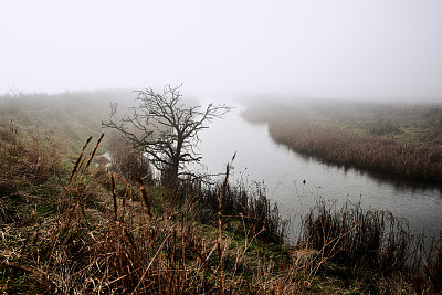 Oare marsh, Faversham，肯特，英国