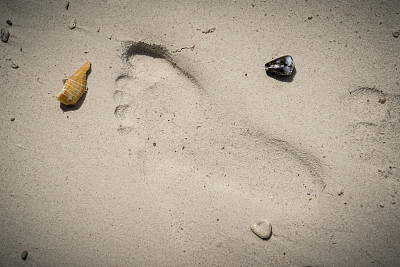 脚印在沙滩上。沙滩上脚印的特写