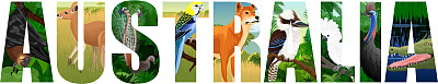 矢量集澳大利亚字与动物与莱利伯德，野狗，蝙蝠，鹦鹉，鳄鱼，笑翠鸟，袋鼠和食火鸡