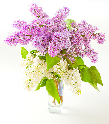 花束花瓶图片大全 花束花瓶设计素材 花束花瓶模板下载 花束花瓶图库 昵图网soso Nipic Com 花束花瓶图片大全 花束花瓶设计素材 花束花瓶模板下载 花束花瓶图库 昵图网soso Nipic Com