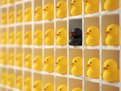 许多黄色的橡皮鸭在木制鸽子洞隔间，重点是一个不同风格的黑色橡皮鸭在一个隔间。
