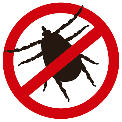 黑色蜱虫图标警告剪影在白色背景，矢量eps 10