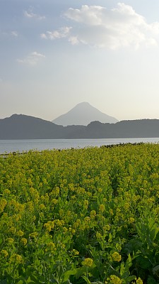 日本鹿儿岛井贯的海门达克山(百座名山)