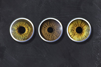 三个人眼虹膜眼球的微距特写
