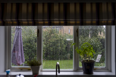 下雨天从厨房窗户看到的后花园