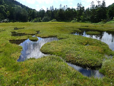 志贺高地(日本上心越国家公园志贺山)