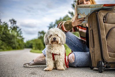 一个小女孩坐在一个手提箱旁边，抚摸着她的狗
