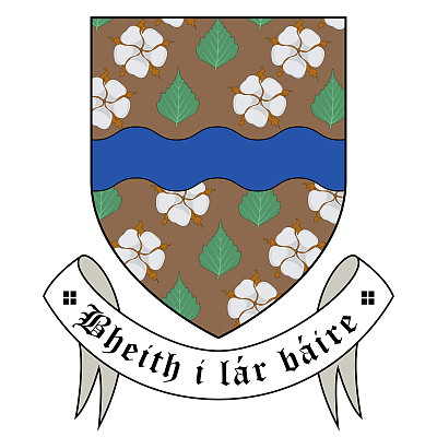 爱尔兰巴利贝市的盾徽